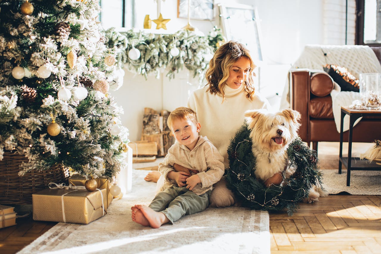 Seizures in Pets: Causes, Emergency Response, and Long-Term Care