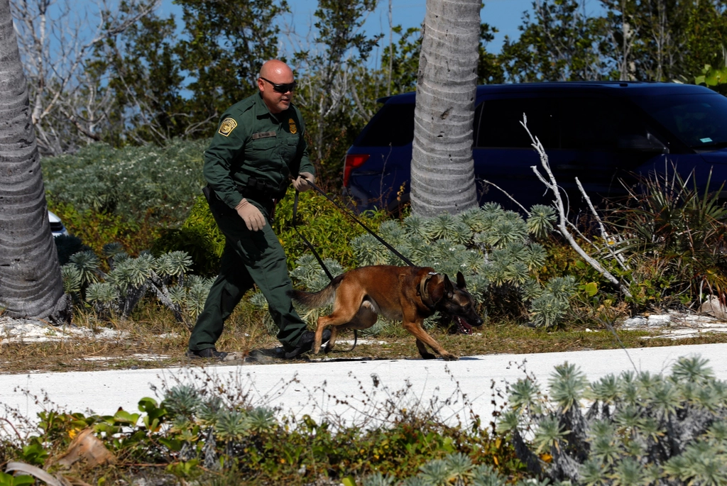 U.S. Customs Border Protection (CBP)